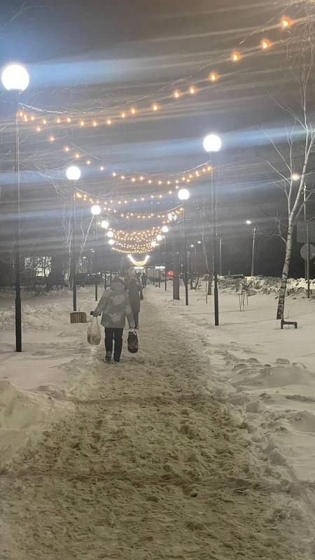     31  2025 ,       2024 