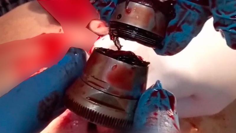 ���� ��������� ������������: ������� �������� �� ����� �������� ����� ����������