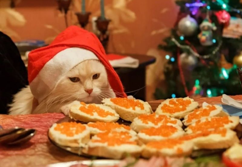 � ���������� ��������� � ����������� ��� ������ �������� ����� � ����� - ����������� ������� ���� �������