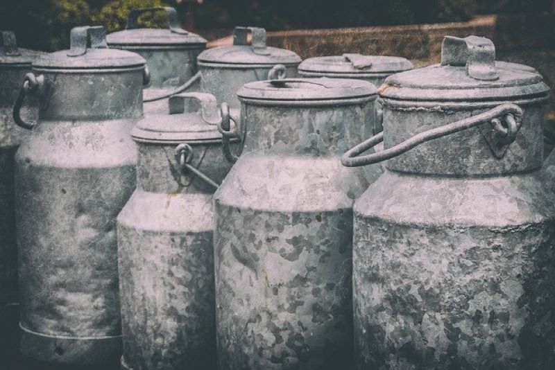 ���������� ����������� ����-���� ������ �� 19 ��� ������