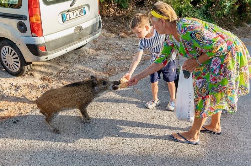 � ������ ����� �������������� ������� - ����� �������� ������������ ���� ����������� �����������