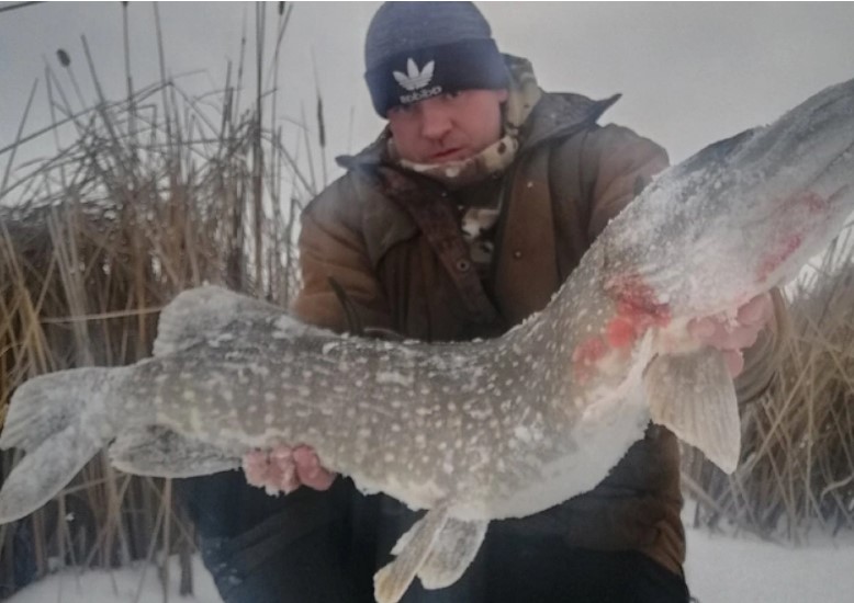 �������� ������ ������� ������ � �������� ����� � ������� ���������� ����