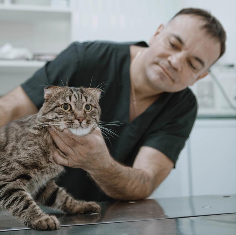 ��������� �������� ����������, ��� �������� 400 ����� ������ �������������� ������ � ��� �������� ����� ������ ��������� ������