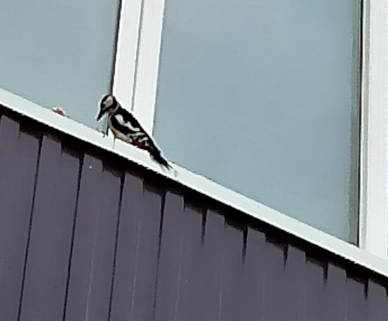 ������ ������� ���������� � ����� �������� ������������ �� ���������� ����