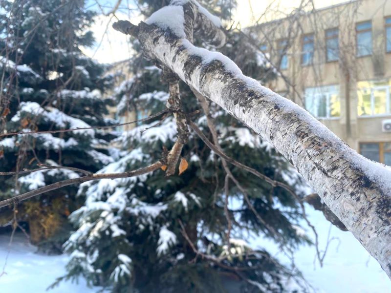 � ���������� � �����: � ��������� ���� ������ � ��������� ������� �������� ������ ������� ���������