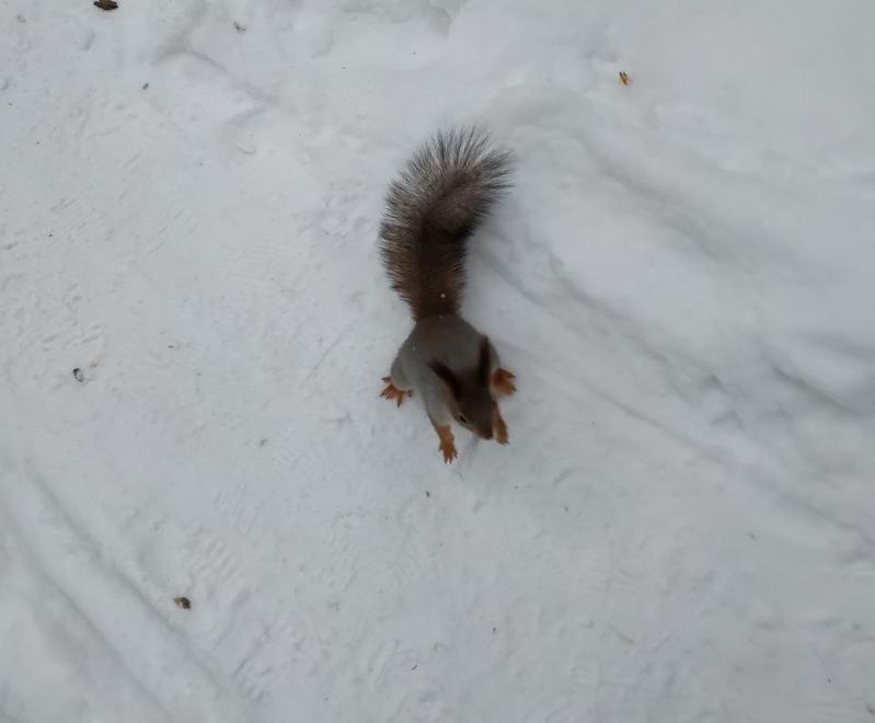 ��������� ����� ��� ���� ����� ������� ������ � �������� � �������� ������������ � ��������� ���������