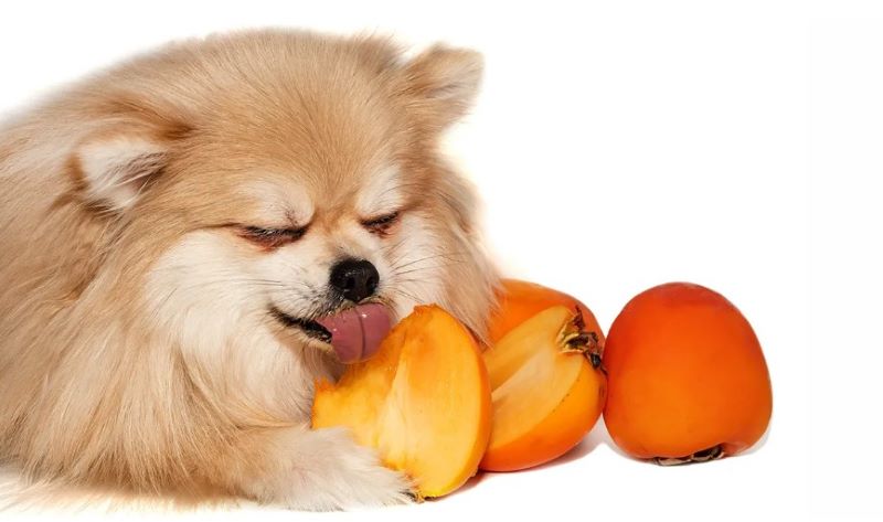 ����� �� ������� ������ �����?