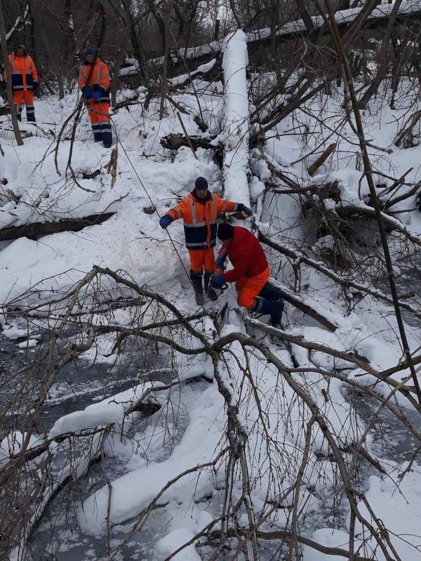 ������� ��������� ���� �� ������� �������� � ������: � ������� ��������� � �������, � ������ ������� ��� �������� �������� ����