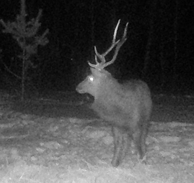 �������� ����� ������������ ����� ����������� ���������� �� �������