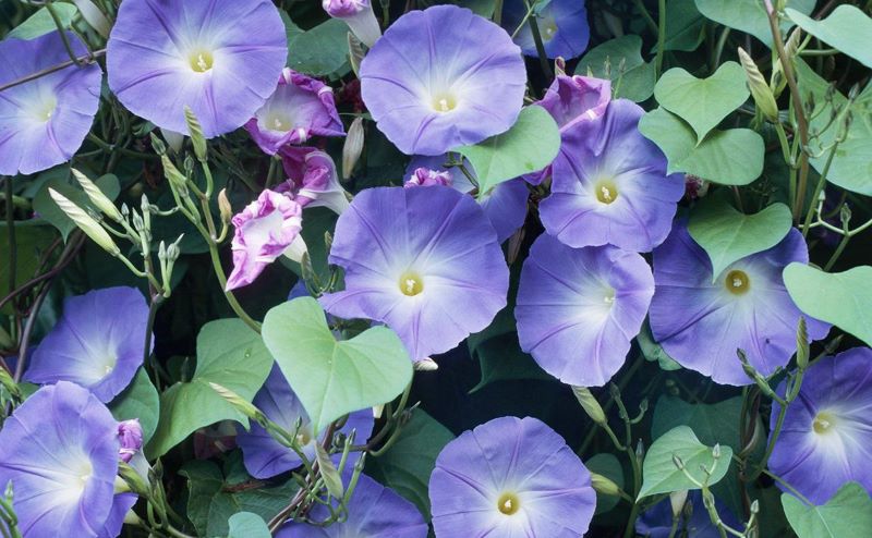 �������� ������ ��������� ���������� ���������� ������������ ������ - ����������� ������� ������ ��������� ���������������