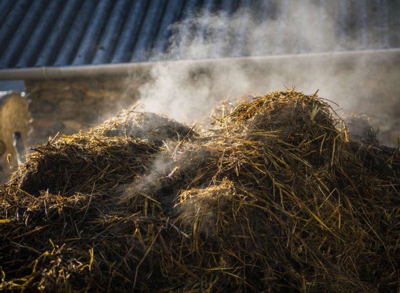 �������� ������� ������ ������� ������ � ������ � �������� ������� ����������� ������