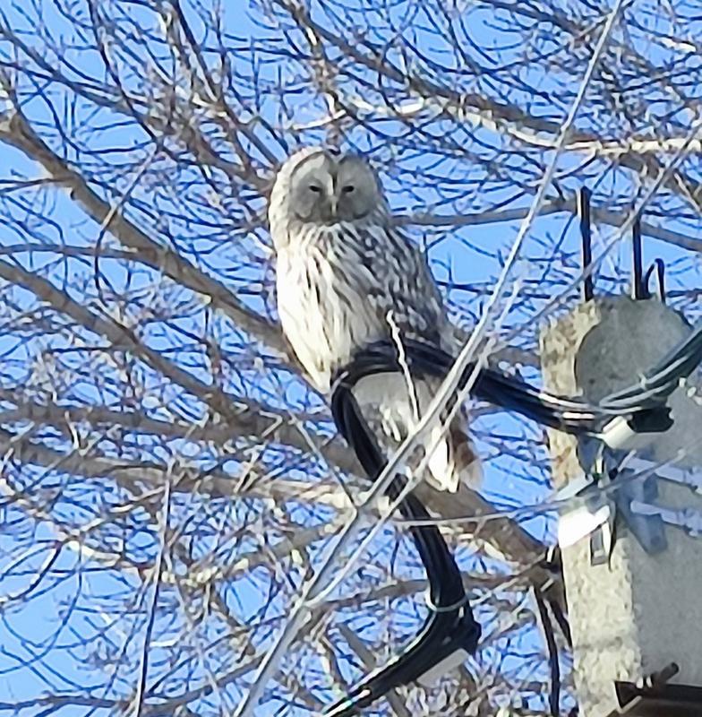 ���� ����! ���� ��� ���� �������� � ���������, � �� ������ � ������� ����������� - �� � ����� �������� ������ ����� �����