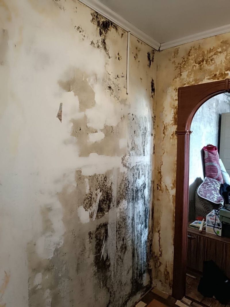 ����� ������� ������ �������, ������ �� ����������� - ����� ����������� �� ����������� ������ ������������ � ��