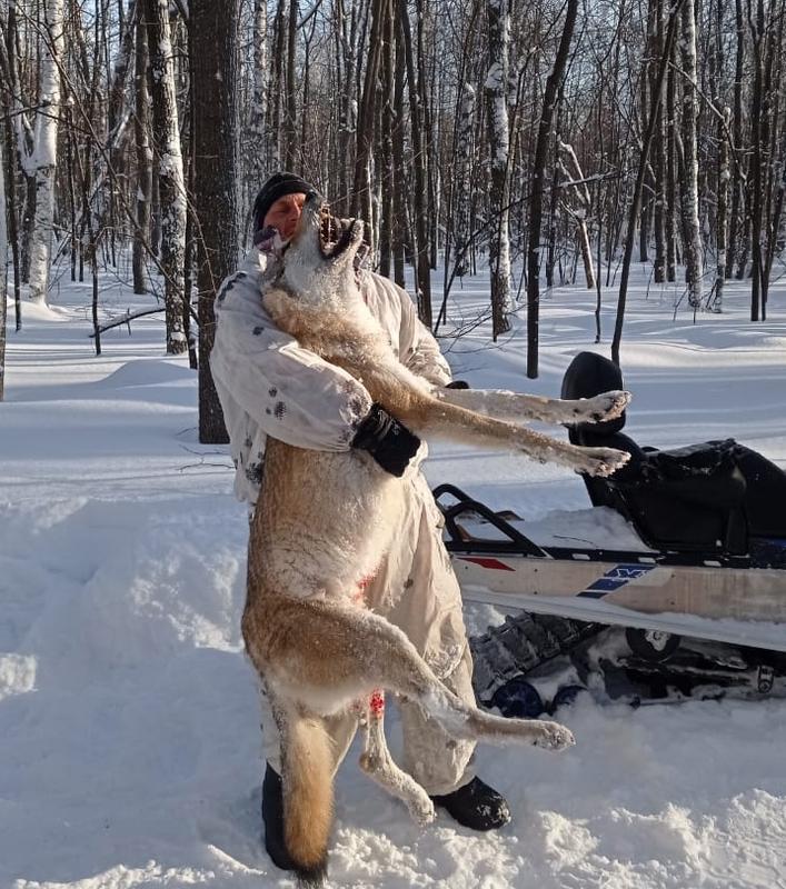 ������ �������� - �� ������� ������� ����� ����� � ��������