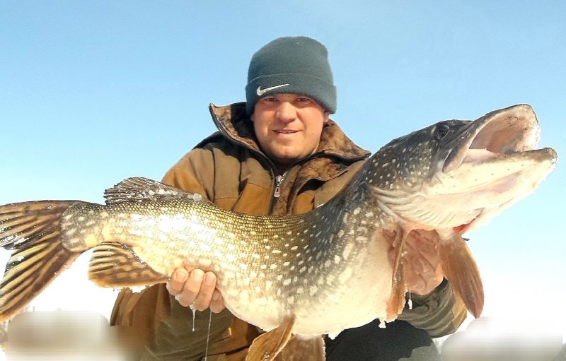 ������ ������� ������ �� ����� ���������� ����