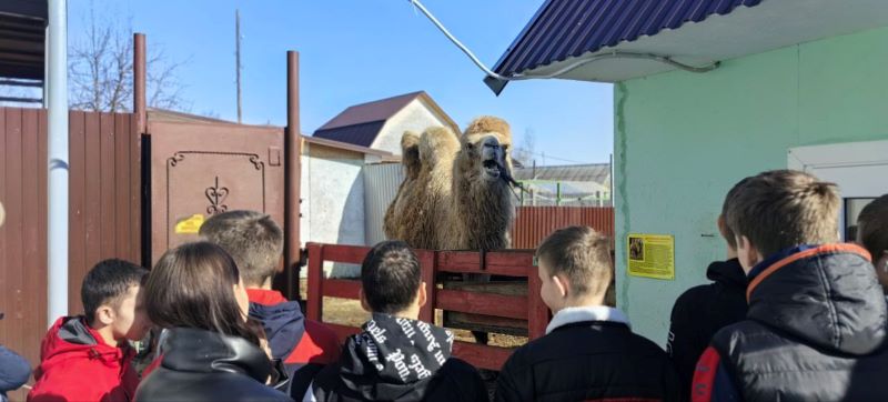 ������ ����� ����������� ������� � �������: ������������ ������ ������ �������� ���������� ������� ������� ����