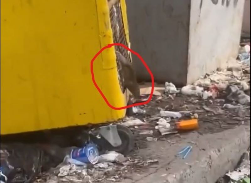 ����� �� ���� ������ �����: ������ ������� �������� �� ������� ���� � �� ��������, ��� � ��� ������ � ���� ��������