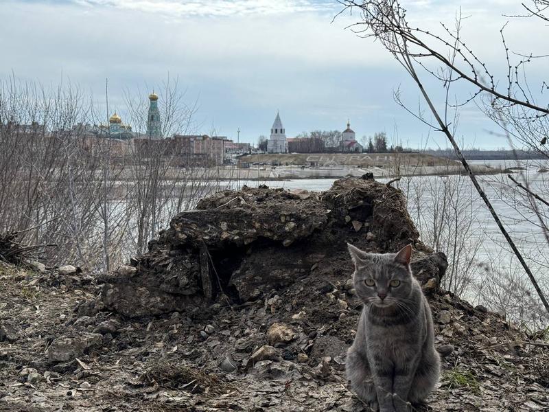 ��-�� ����������� �������� ����� �������� � ��� ����, � ��� ����, ���� � ������������� �������� ������