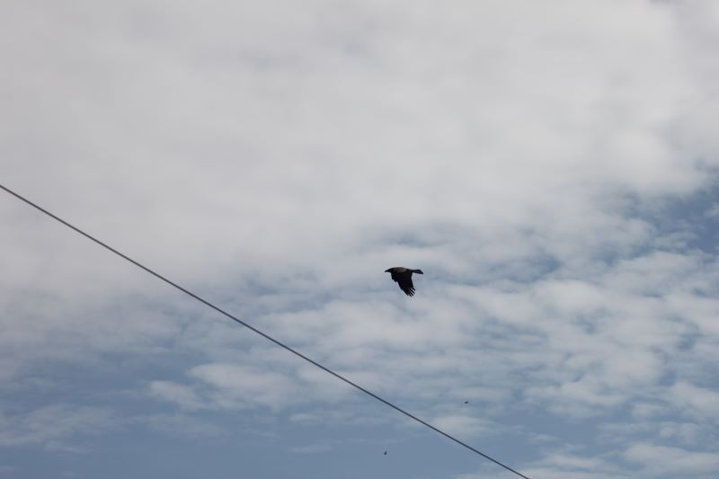 ������� ������������ �� ��������� ������� ��� ��������� ��������