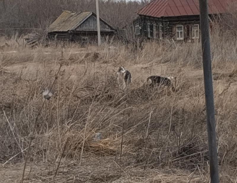 ������������ ������ �������������� ������ ������ �� ����� �������