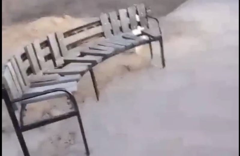 ������ ������� � ���� �� ����������: �� ������� �������� ����� ������ �� �������� - �����