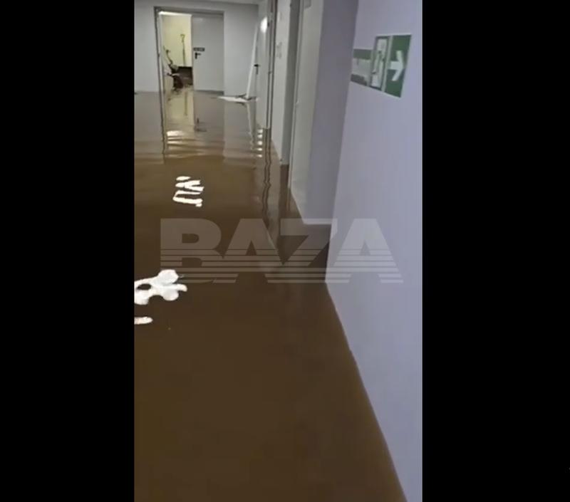 � ��������� �������� �������� ��������� �������: ��� ���������� �� ��������� � ��������� ��������