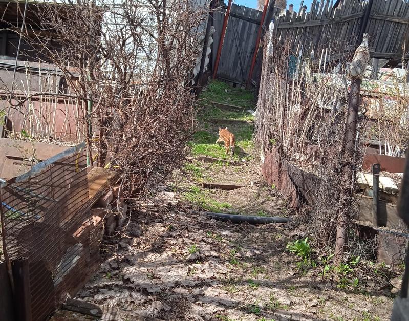 ������� ����� ���� �������� ������������� ������ � ����, ��������� �������� �� ���� �� �������