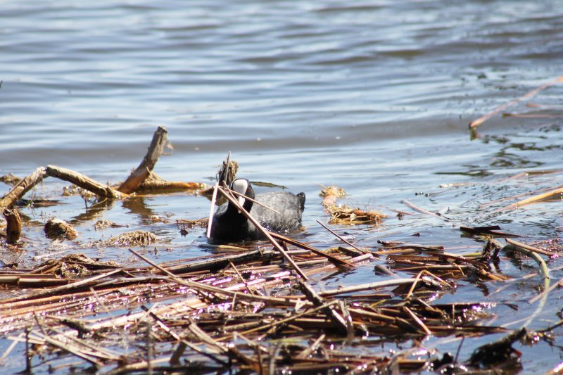 ������� �� 20 ������: ��� ����� �������� � ������� ��� �������� �����