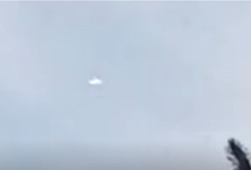 �������� �������� ������ �������� � ���� ��� ��������: �����