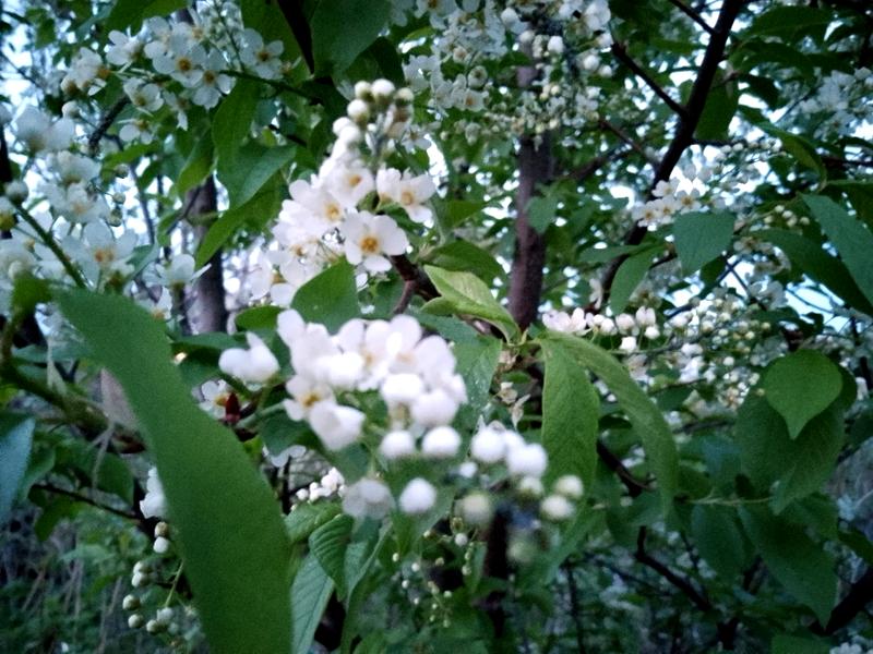 �������� �������� ���������� ������ ����� �������� ������: ���� ������ ��������