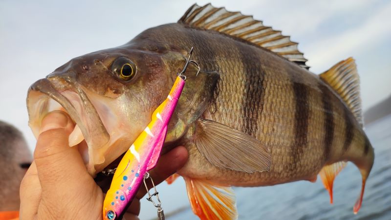 � ��������� ������� ��������� ���������� ������: ����� �� ������ ������� ����, � ���� ��, �� ���