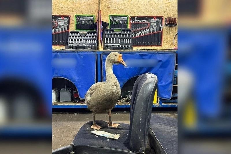 � ��������� ������� ���������� �������� ������ ���� ������: ��� �� ���� �����