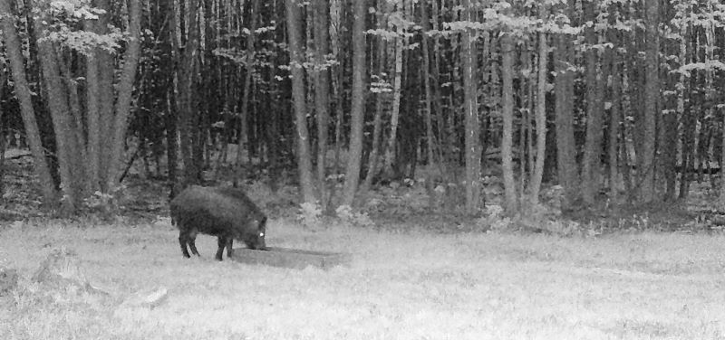 ��� �������� ������ ������������ ������������ �������� �������