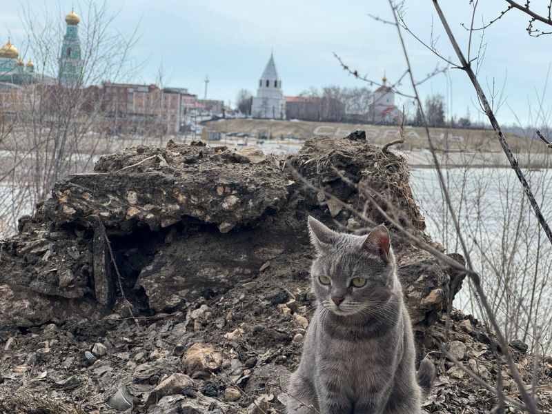 ������� �������� ������ �������� �������, ����� ������ �������� � �����