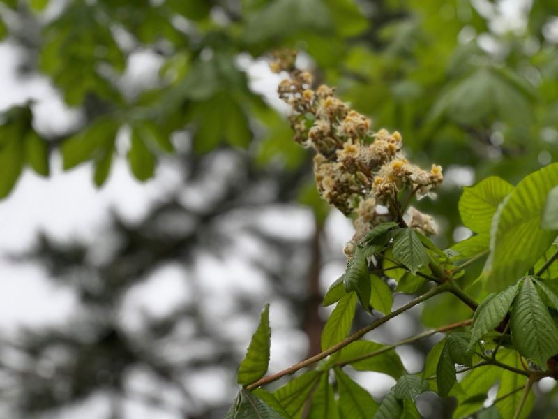 ����� ��������, ����� ������ ����� � ���� ������ � ��������� �������