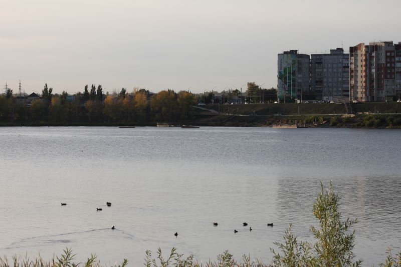 �������� ������� ����������� ������������ ������ �������� �� ���������� ������������