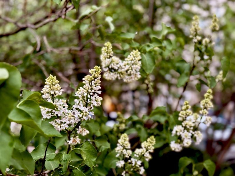 ������� � ������ ����: ������ ������� �� ����� �������� ������� � ����������