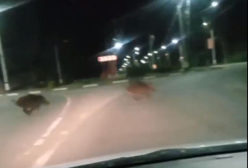 �� ������� ������� ������ - ��������� ����� ���� ��������� �������������