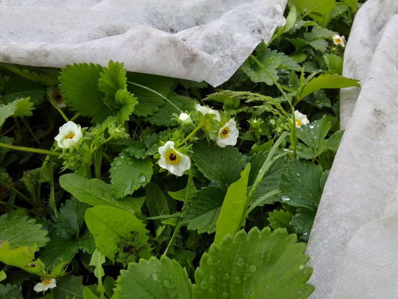 ������� ��� �������� ���� - ������� ������� ������� ������ �������, ��� �� �������� ��� ������