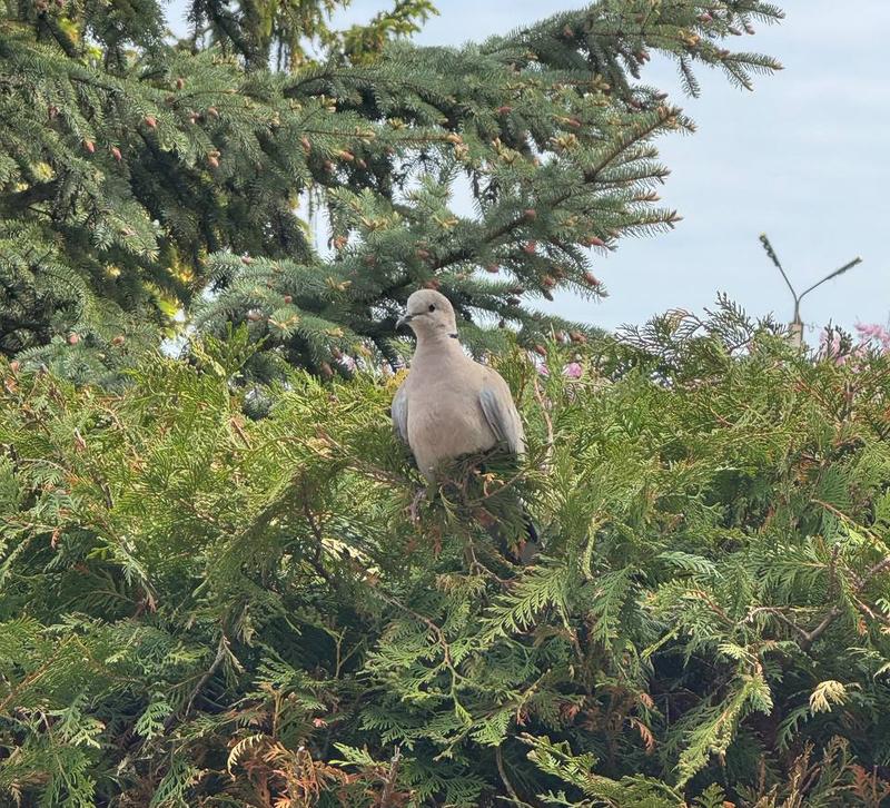 � ������� �������� ����� �� ������� ������ ���� - ��� ���������� ���� ���������� � ���� �� ��������