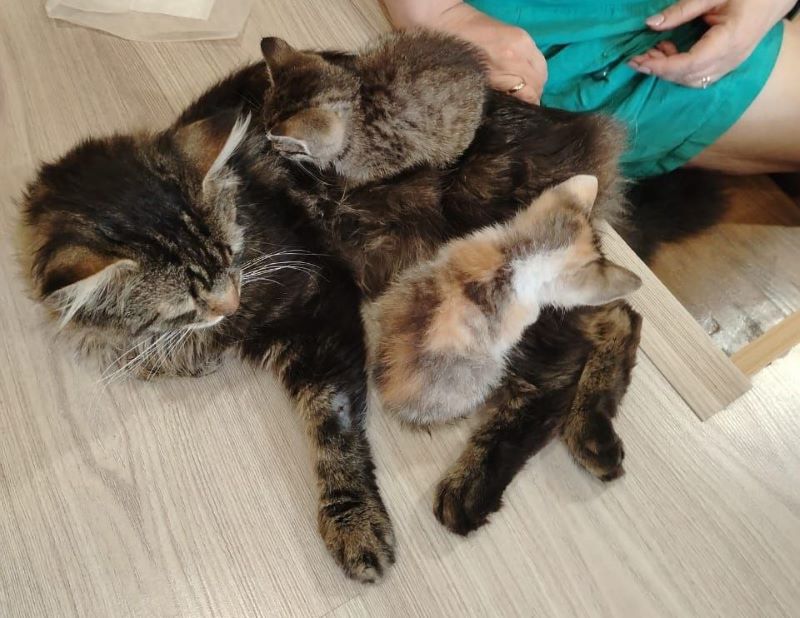 ������������ �������: ��� ���������� ����-��� ������ � ��� �����