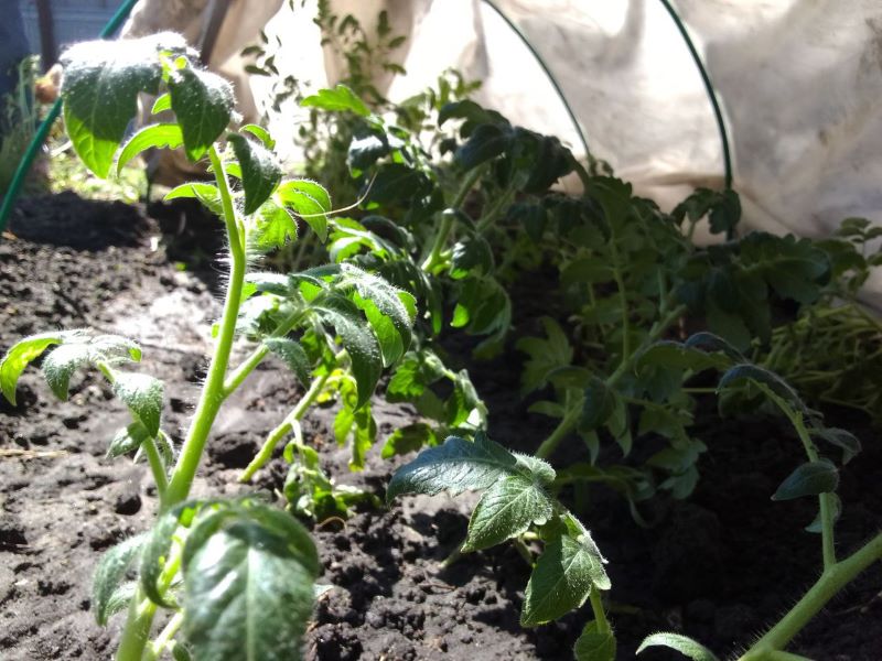 ������� �������� ���� ������, ��� �������� � ���� � ���������: ����� �������� ������� � ���� ��������, � ������� �� ��������