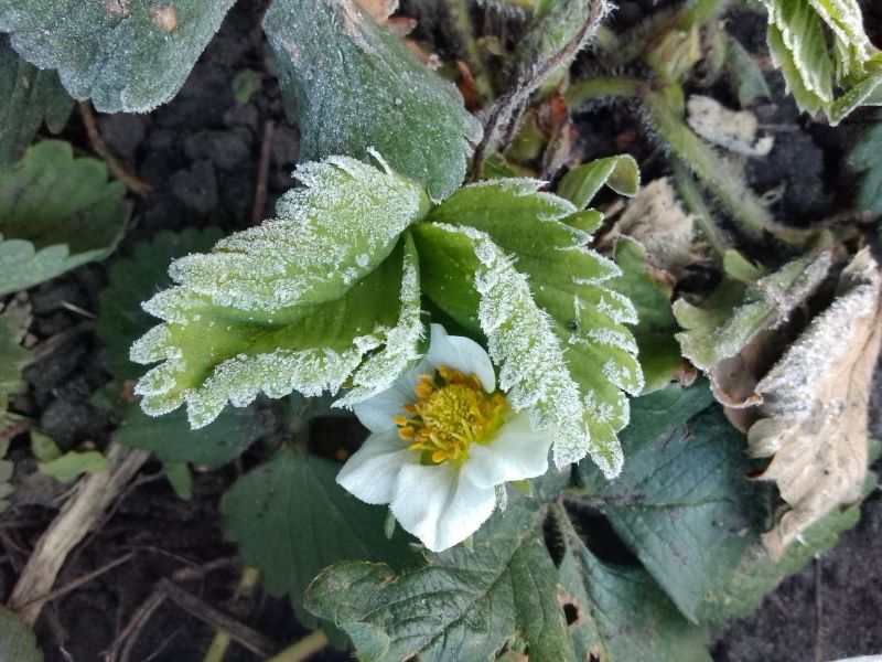 �� ������� �����: � ��������� ������� ���� ������������ �����