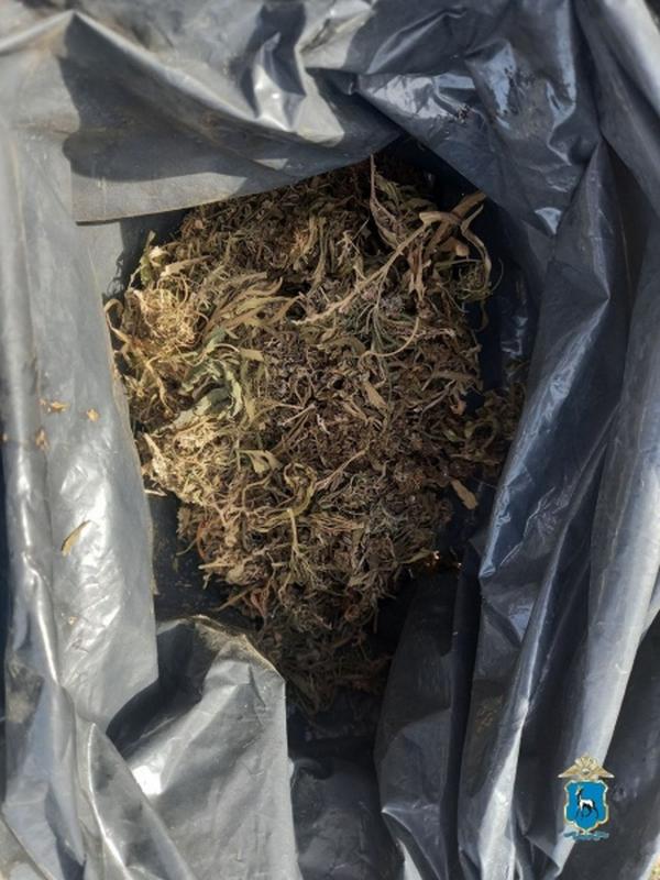 ������� � ����� � �������� ��������� �������� ����� �� ������ �� �� - ���� ������� ������ �������� ����� ��� ����