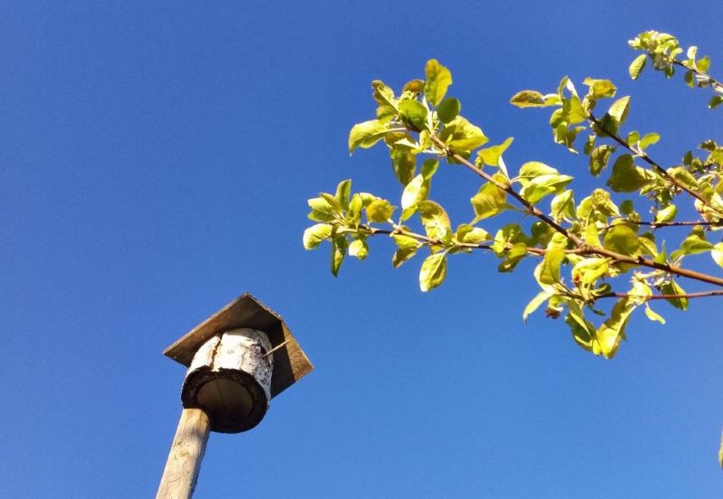 ���� ������� ����������: ������� �� 22 ���, �������� � ������