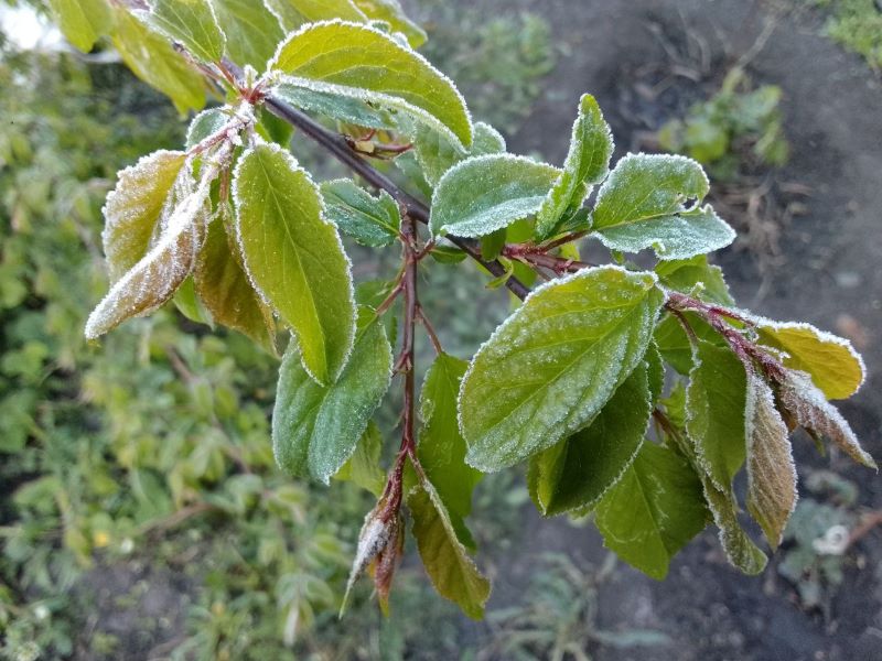 � ������� �������� ���-�� ������������� - � ��������� ������� ����� ��������� ������ ������