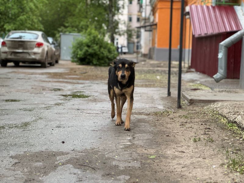 � ��������������� �� �������� �������� ������� ����� ������������ ��������� ��������