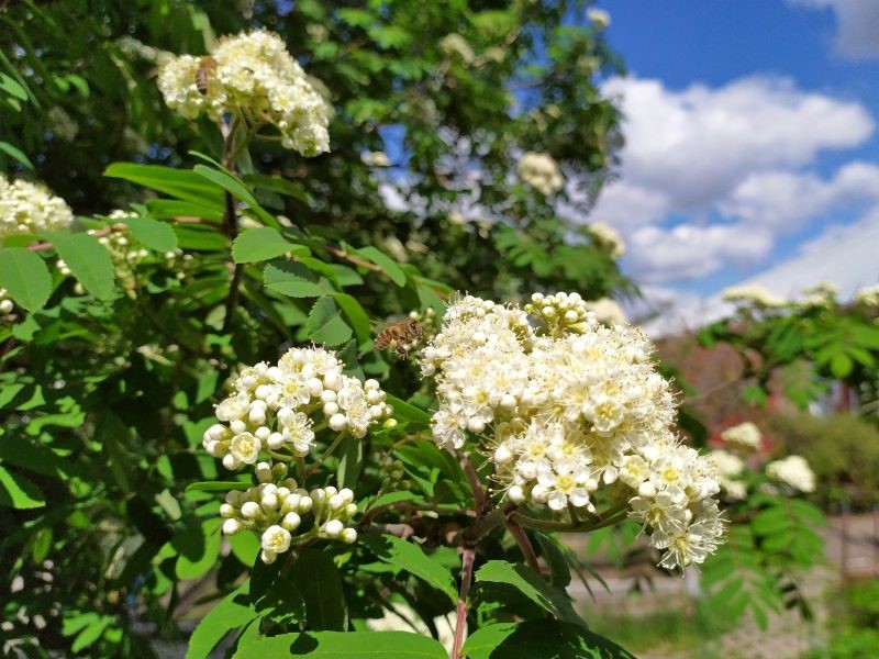 ������� �� 25 ���: ��� ����� �������� �� ����� ���� �� 40 ��� � ���������