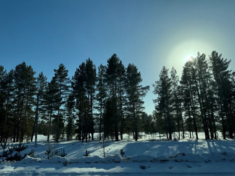 ������ ��������� ������� ������� ����������� ������ �� ����� �����