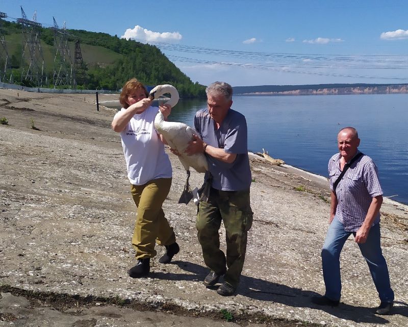 �� ���������� ��� ������ ��������� � ���� ������ - �������������� ��������� ���� ������� ��������